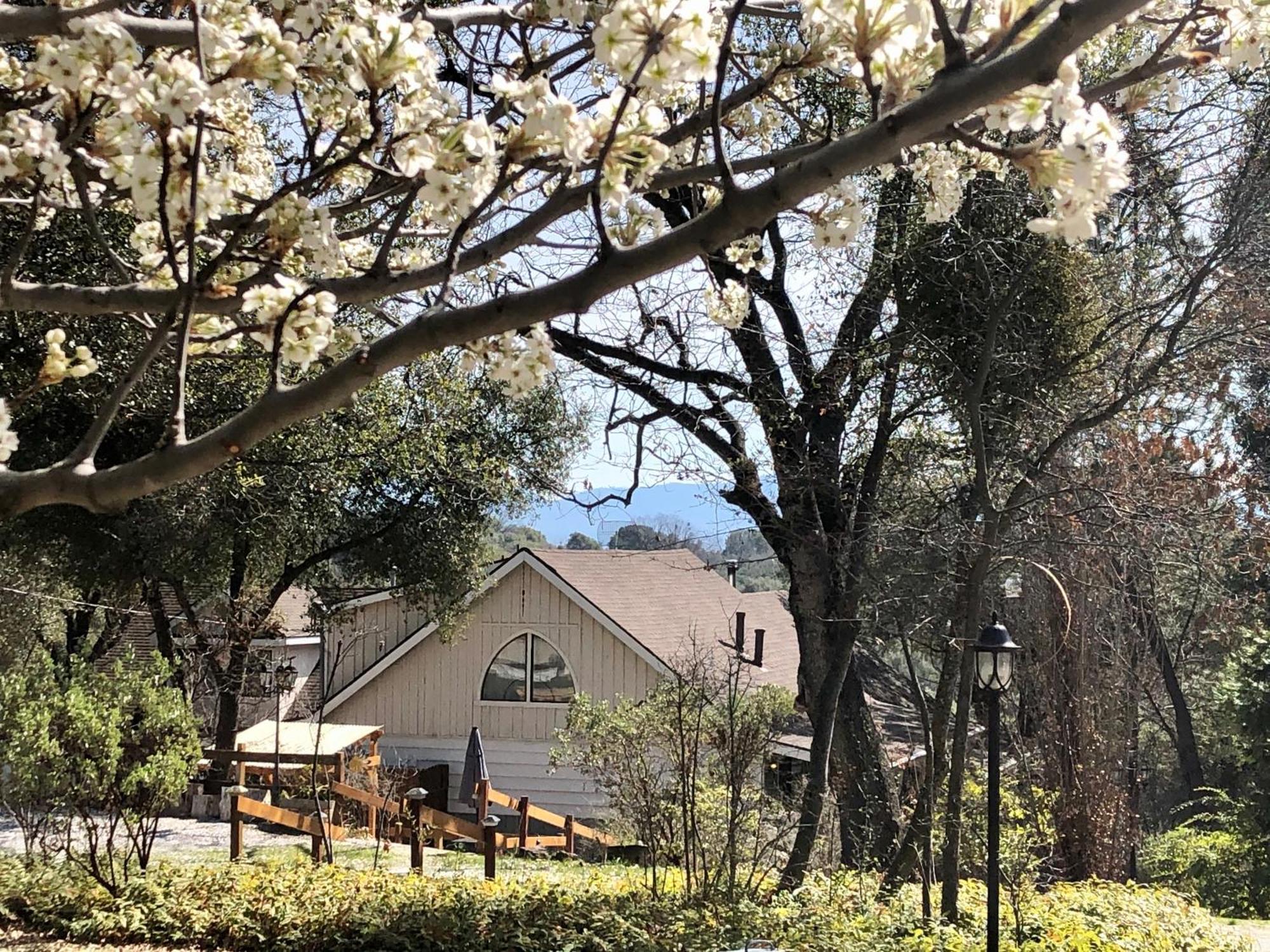 Sierra Mountain Lodge - Vacation Rentals - Yosemite Ahwahnee Exteriér fotografie
